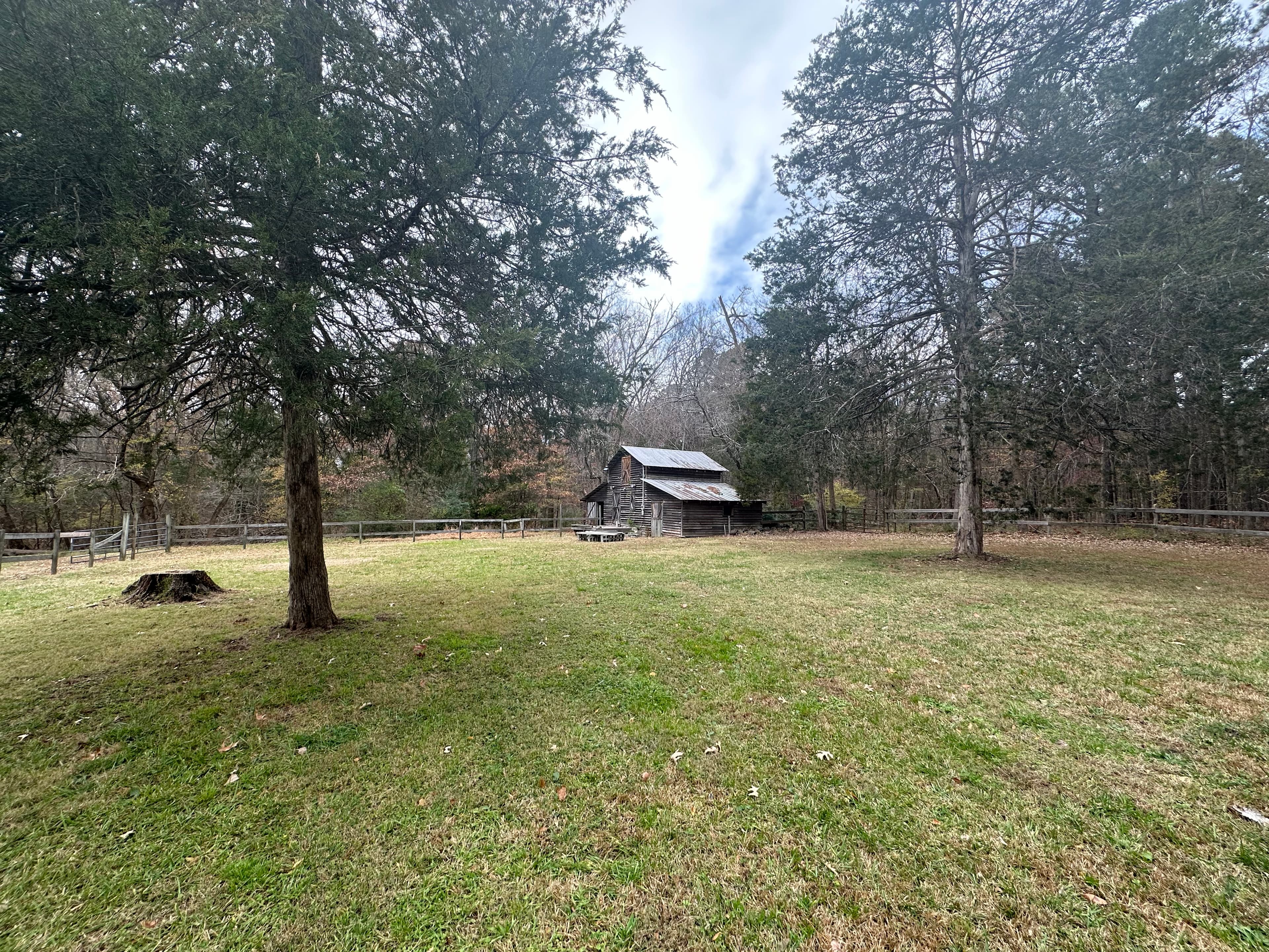 Open field with tree line