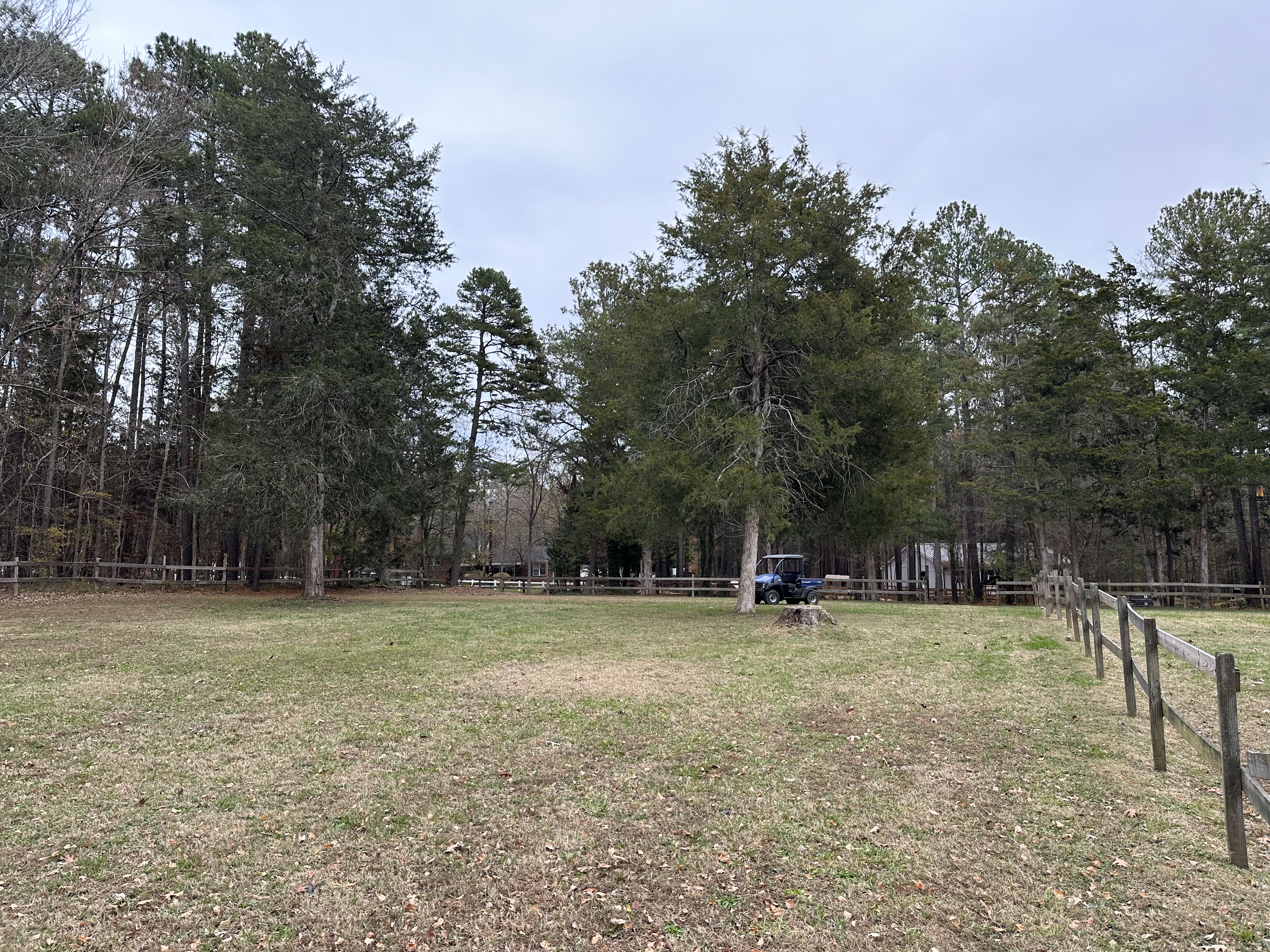 Grounds and fencing at King's Hollow