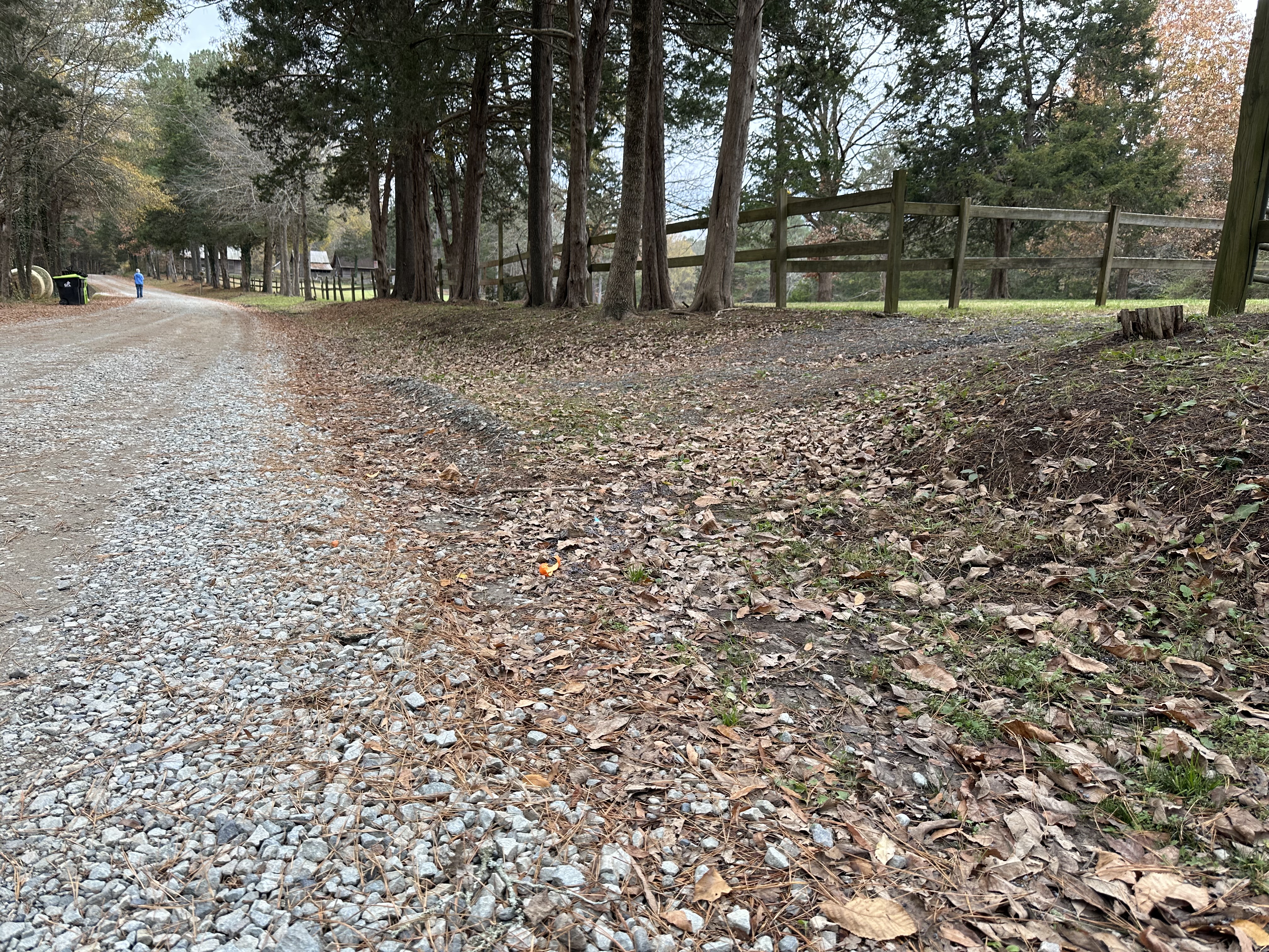 Grounds and fencing at King's Hollow