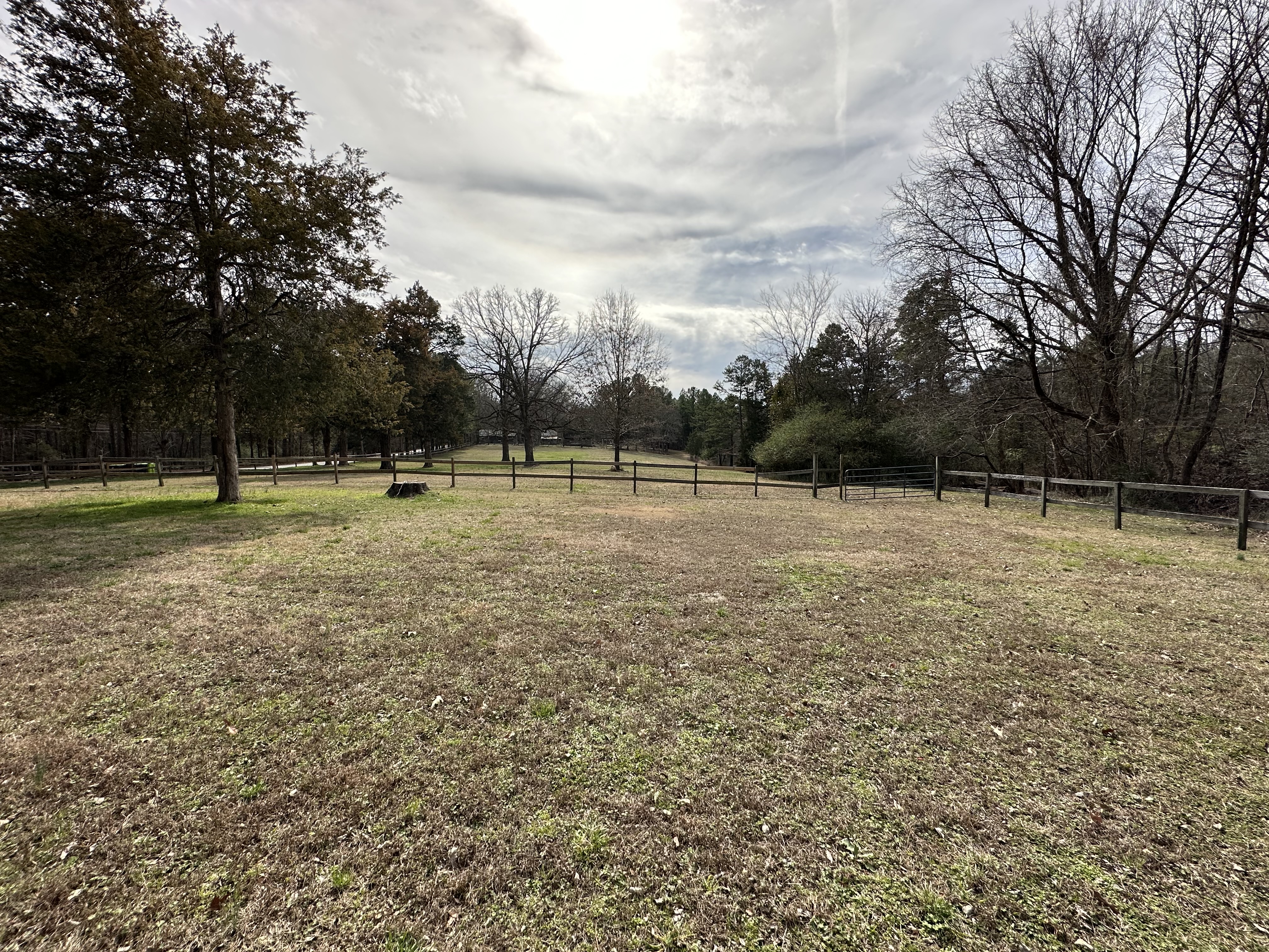 Open land at King's Hollow