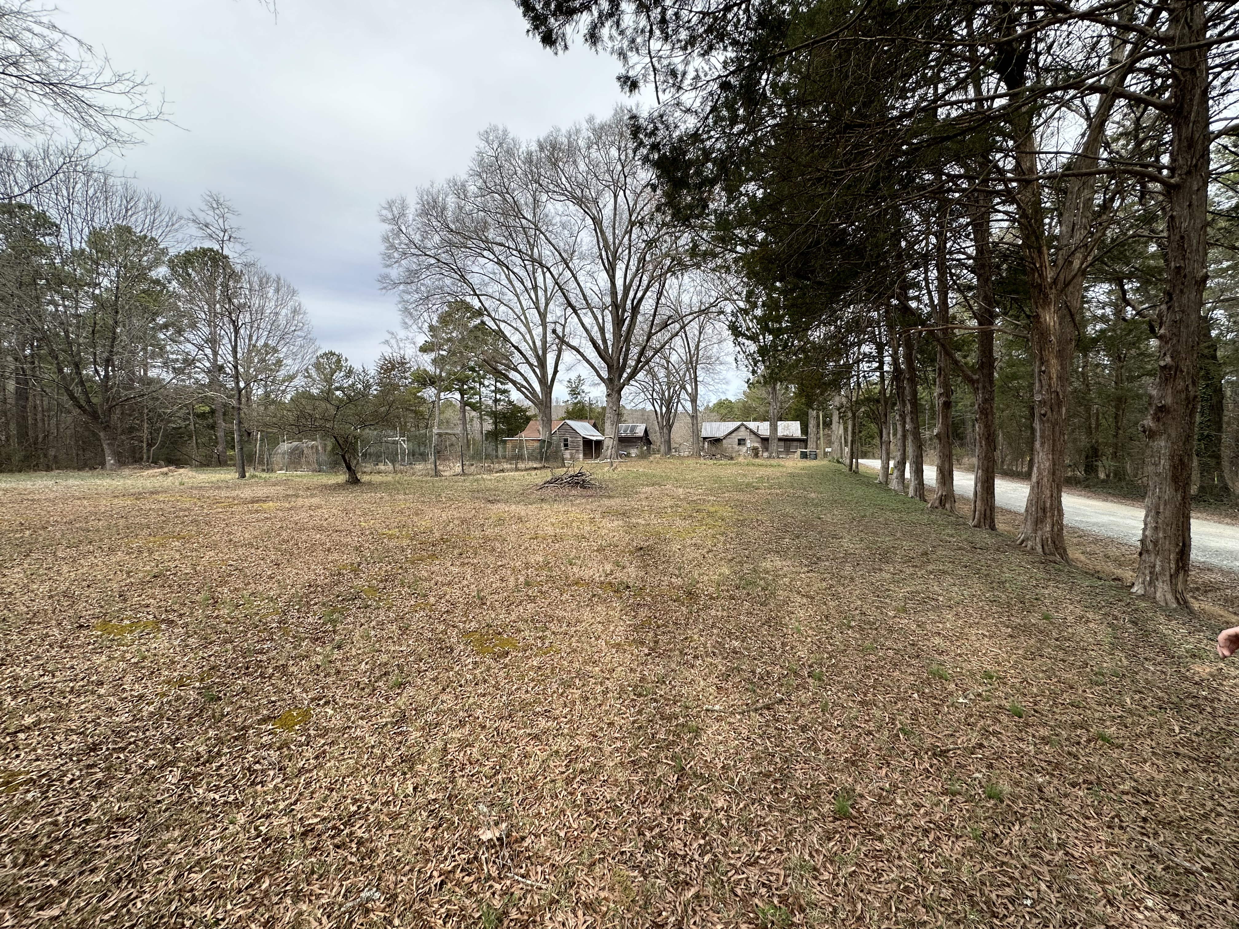 Open land at King's Hollow
