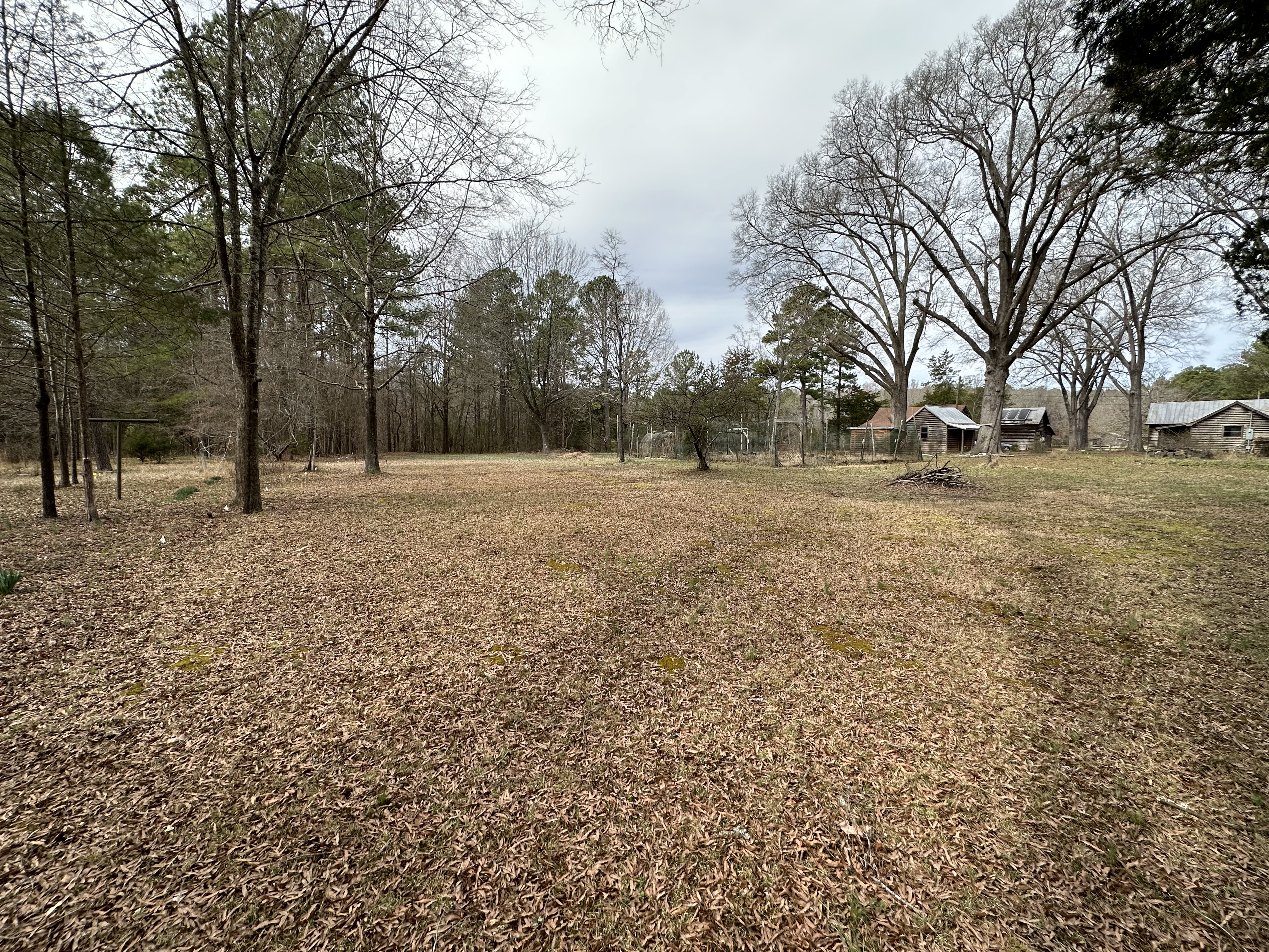 Open land at King's Hollow