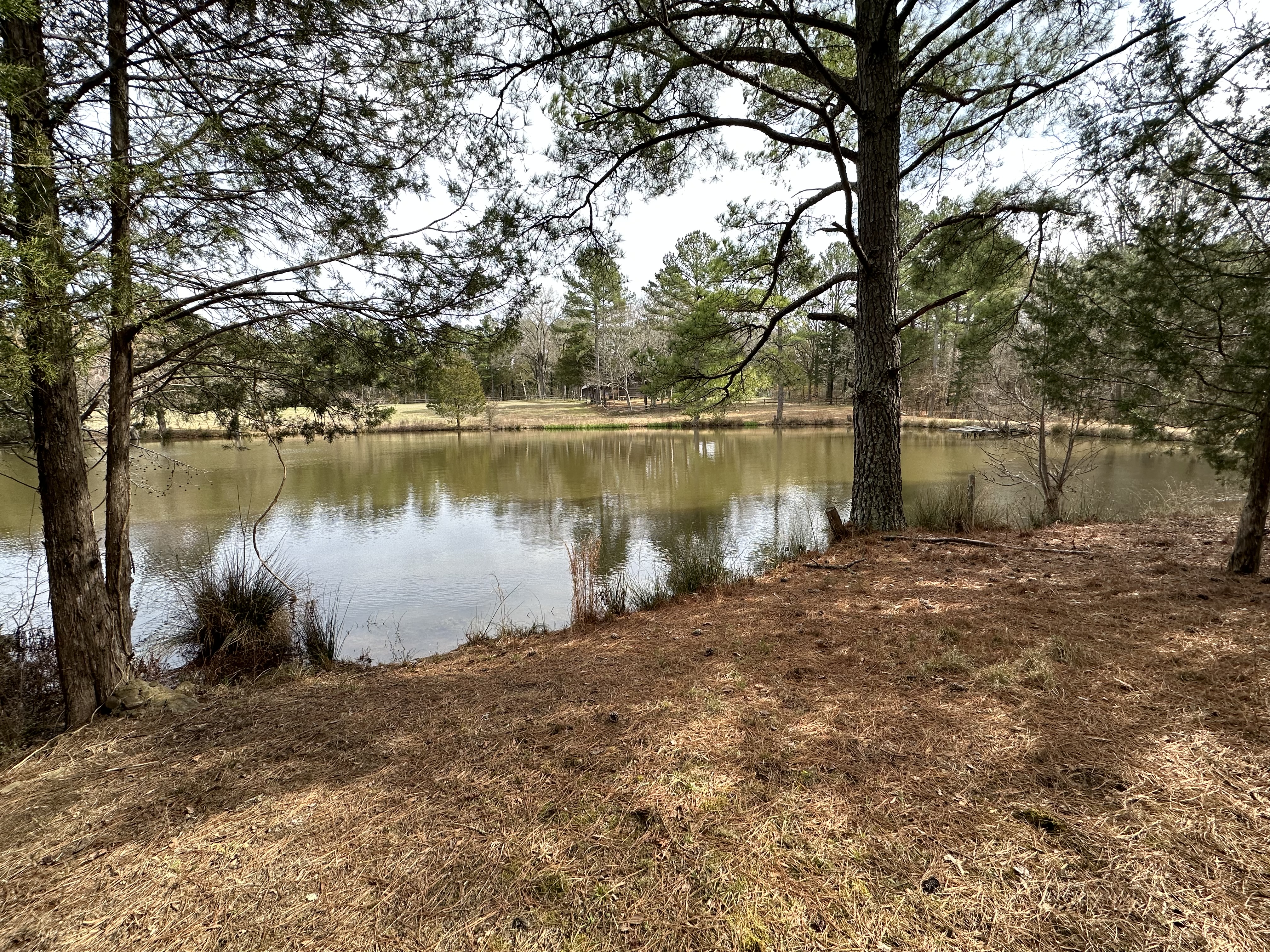 Natural pond on the property