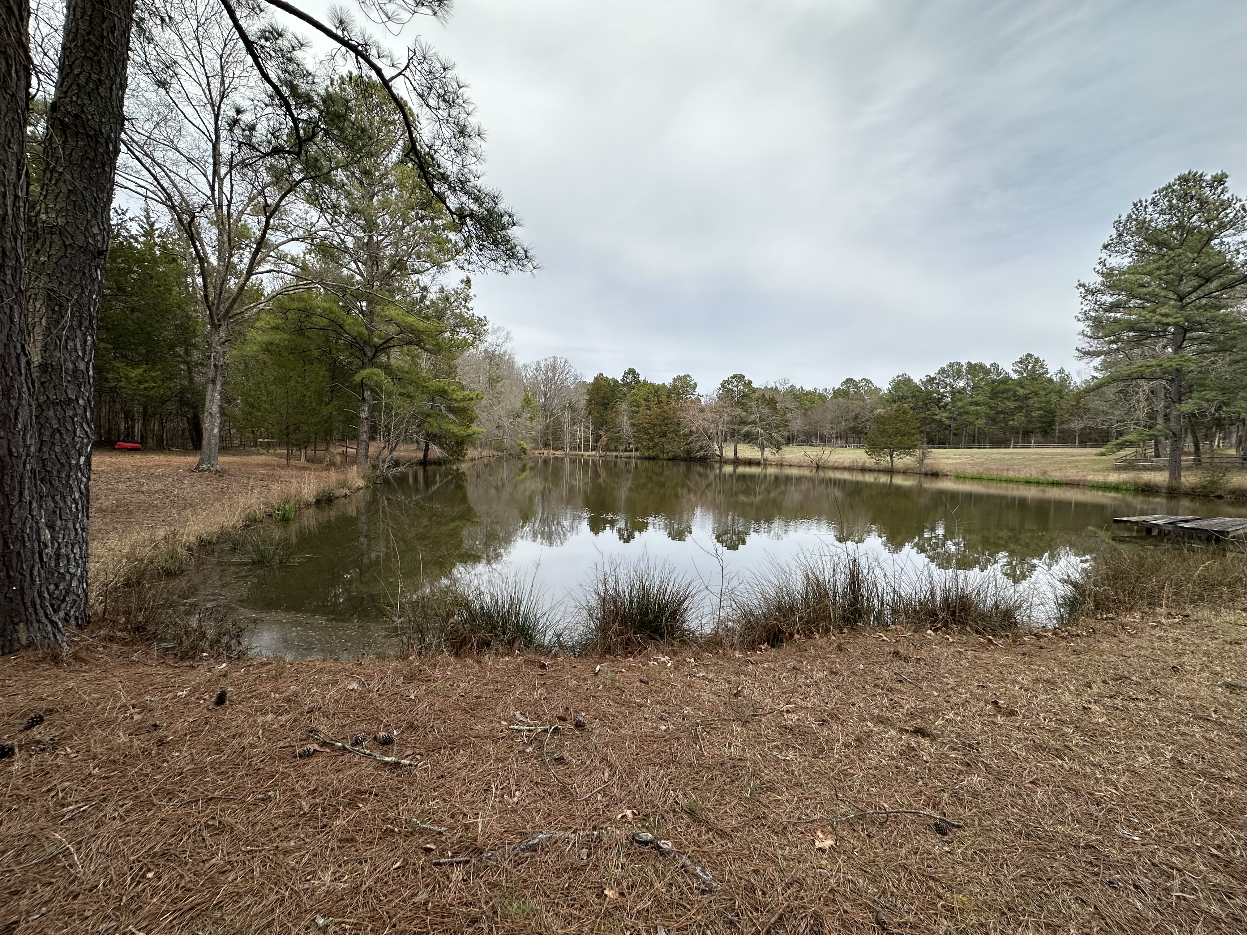 Natural pond on the property